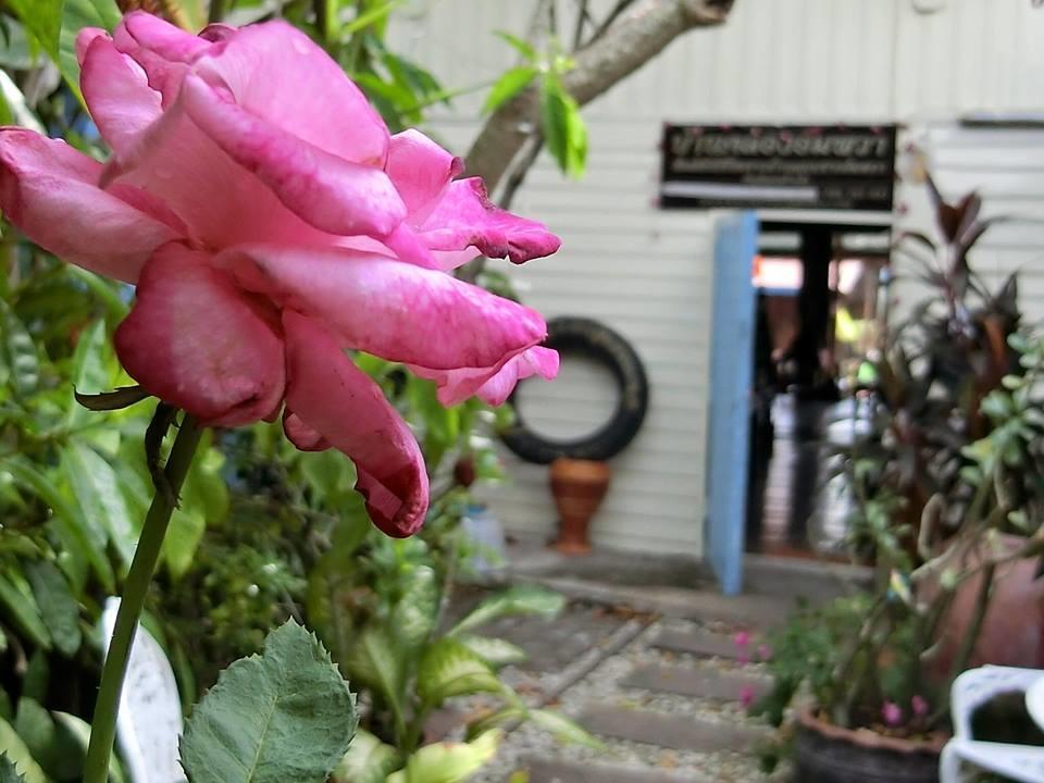 Baanklong Amphawa Homestay Luaran gambar